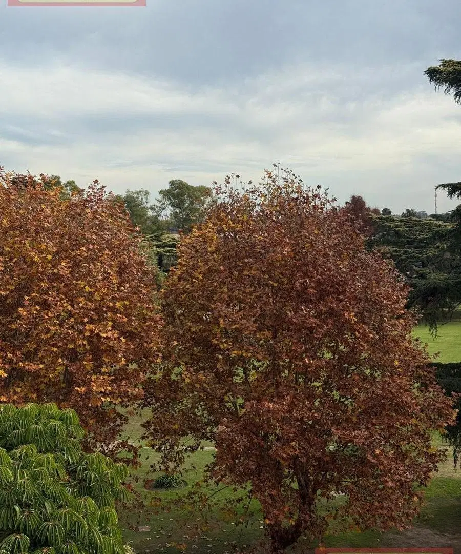 Monoambiente con vista al golf 5