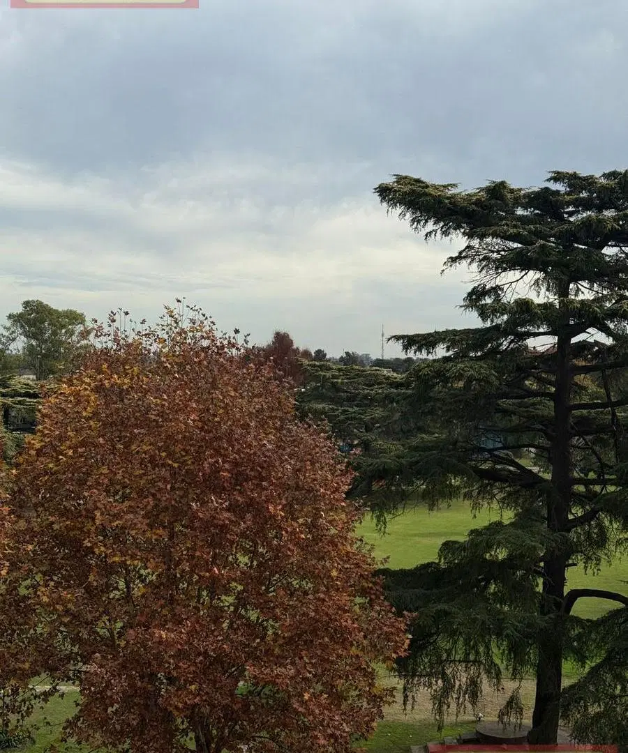 Monoambiente con vista al golf 5