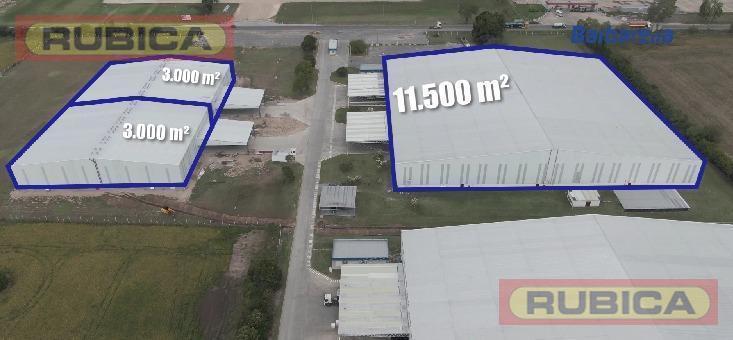 Foto de Zarate - Alquiler de Naves Premium 3.000 / 6.000 / 11.500 m2, imagen 4