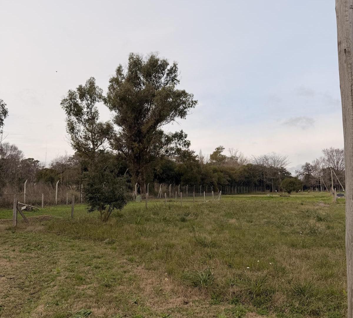 Foto de Terreno - Pilar, imagen 3