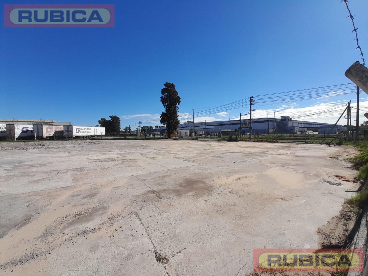Foto de Terreno en Alquiler, imagen 5
