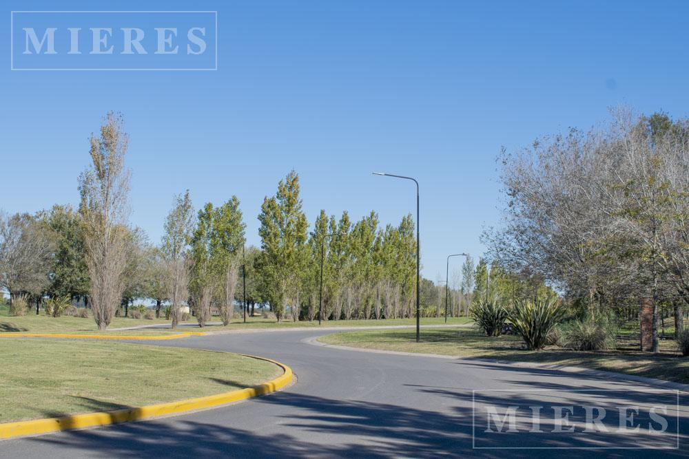 Foto de Apto Crédito, Lote en venta en Área 5 San Sebastián, imagen 2