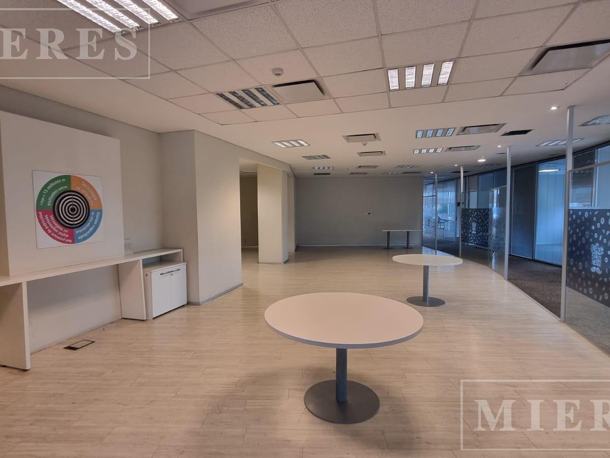 Lumina Thames Oficinas en Alquiler de 2000 m² 4