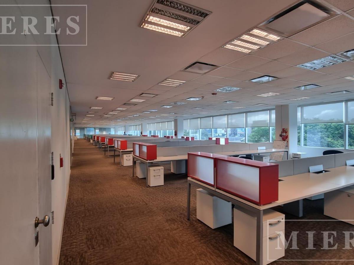 Foto de Excelentes oficinas en alquiler de 1.500 m2 - Lumina Thames - San isidro, imagen 3