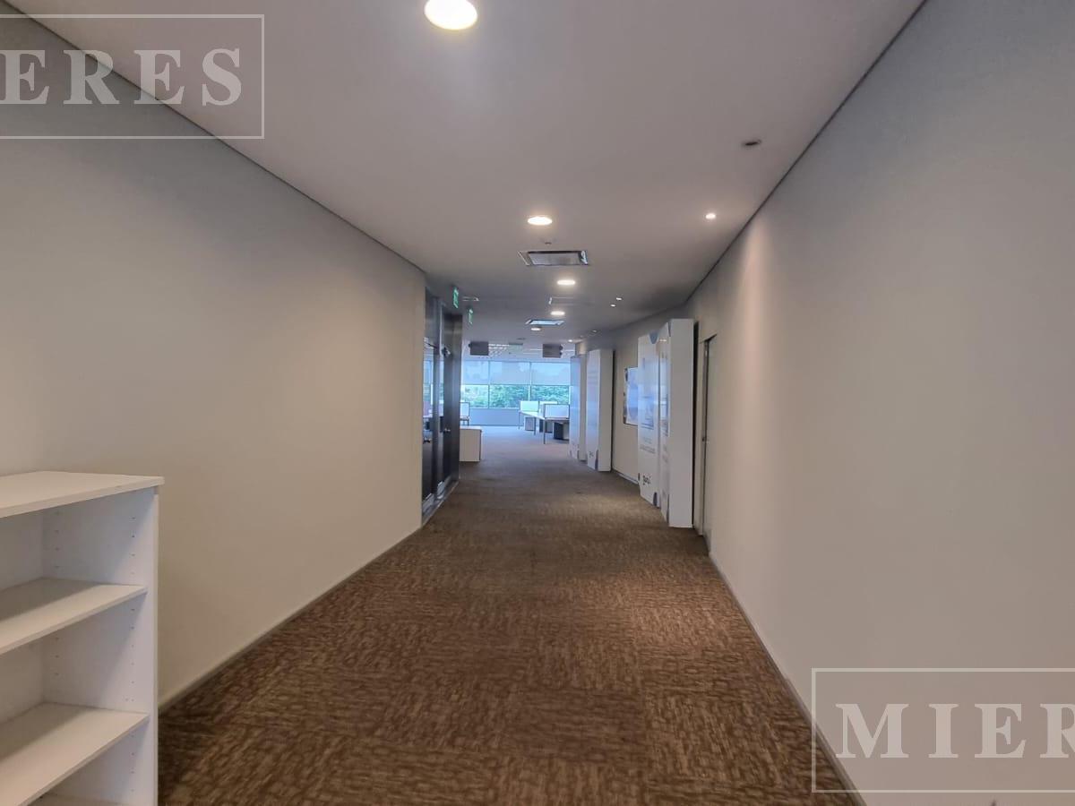 Foto de Excelentes oficinas en alquiler de 1.500 m2 - Lumina Thames - San isidro, imagen 5
