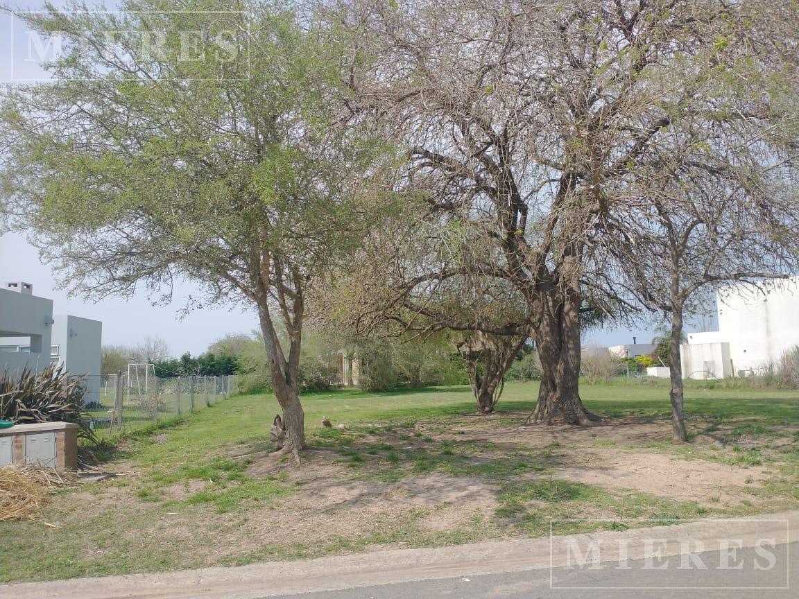 Lote en venta en barrio Molino Norte Haras Santa Maria