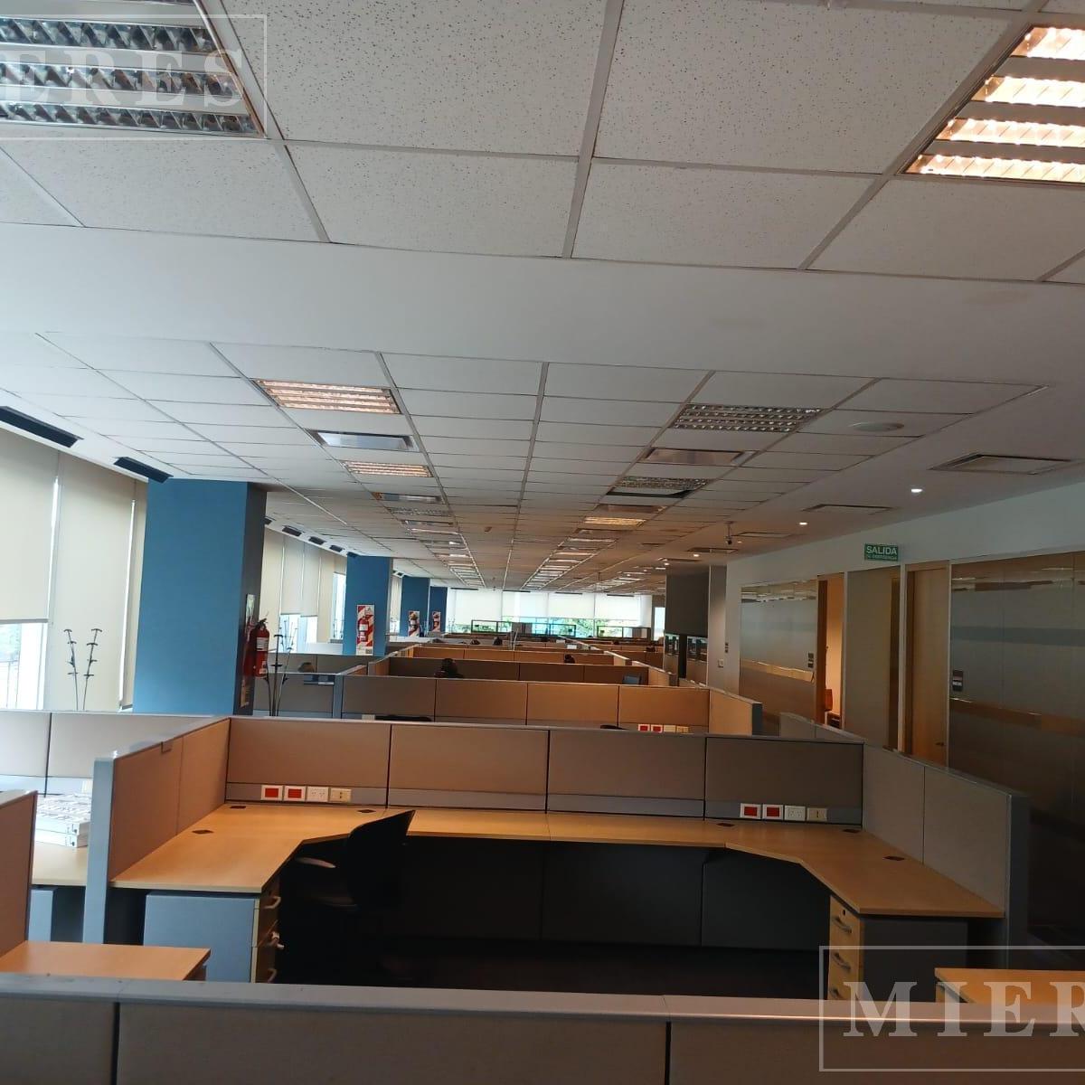 Oficinas en Alquiler de 1000 m² en Lumina Thames - Colectora Panamericana 1804 - San Isidro 4