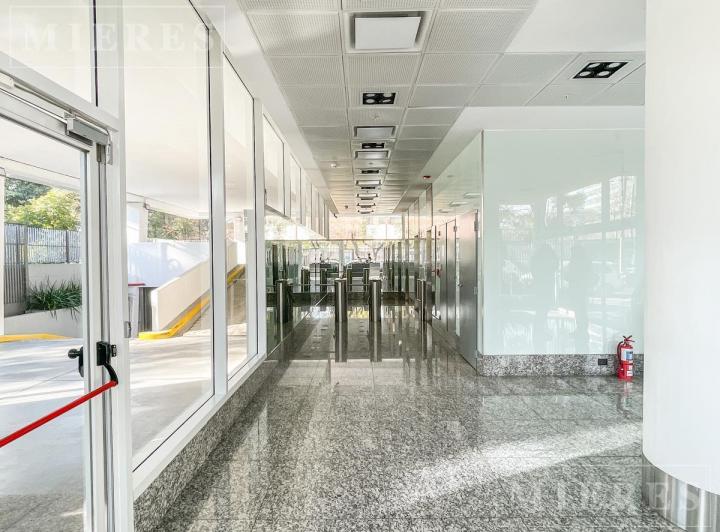 Foto de Oficinas de 346 m2 en alquiler totalmente equipadas en Panamericana Y, imagen 4