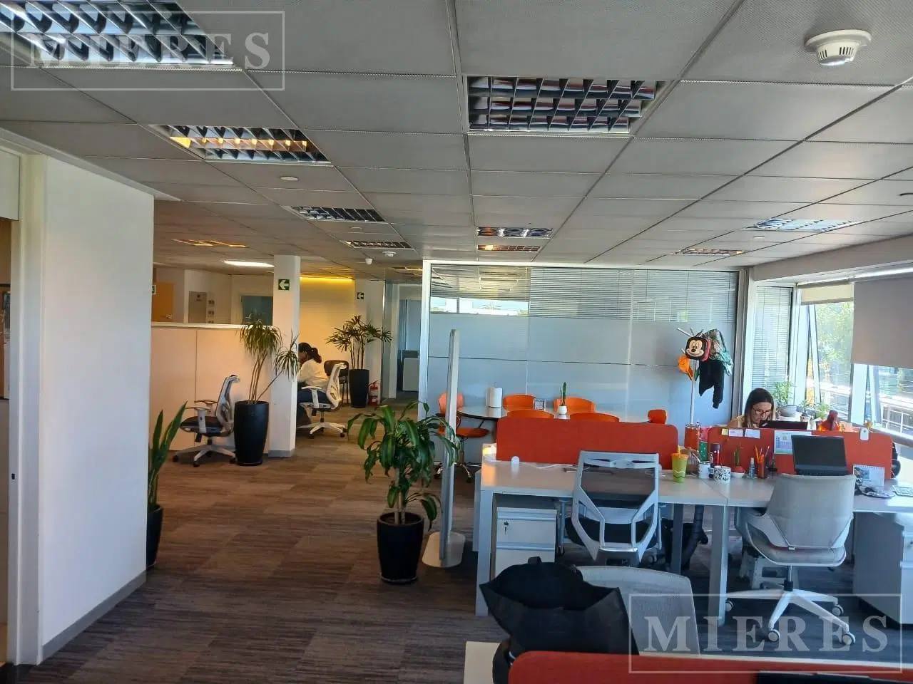 Oficina de 163 m2 en Alquiler - San Isidro 2