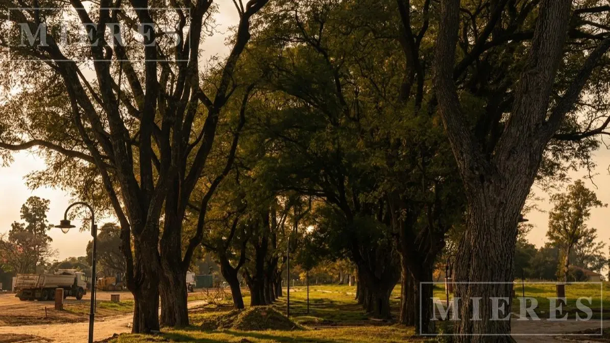 Lote de 800m² en venta en Estancia Carabassa 4