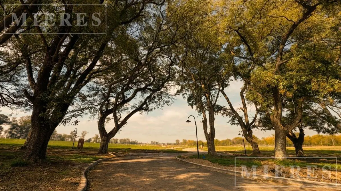Lote de 800m² en venta en Estancia Carabassa 5
