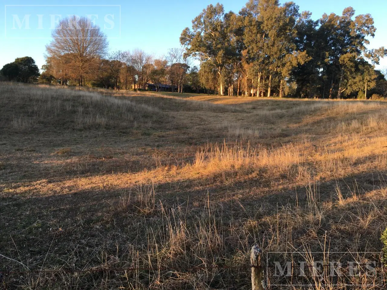 Terreno en Venta de 10.000 mts2 De la carcova esquina Constancia 5