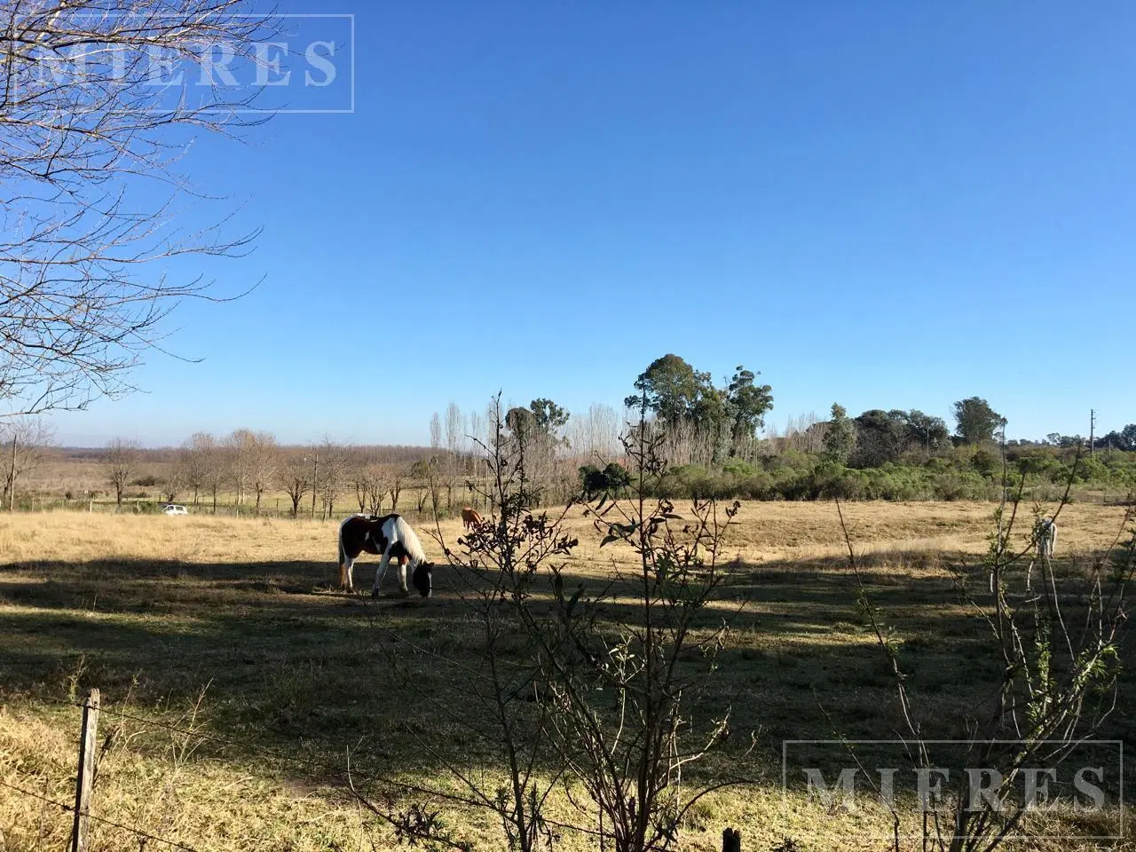 Terreno en Venta de 10.000 mts2 De la carcova esquina Constancia 3