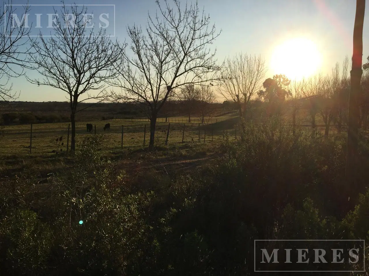 Terreno en Venta de 10.000 mts2 De la carcova esquina Constancia 4