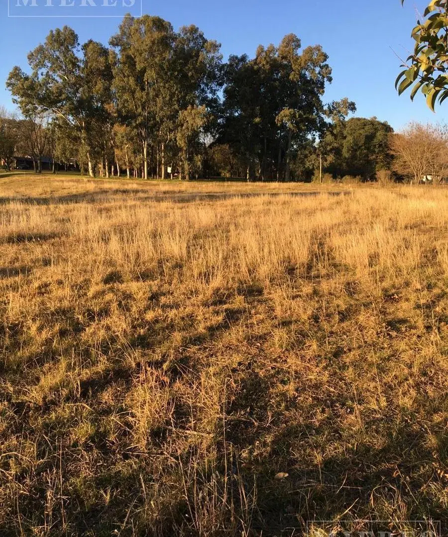 Terreno en Venta de 10.000 mts2 De la carcova esquina Constancia 2