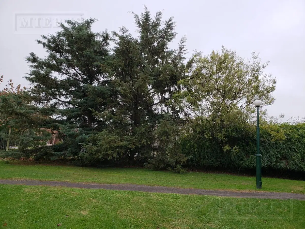 Lote en venta en Barrancas de San José - Orientación Norte 3