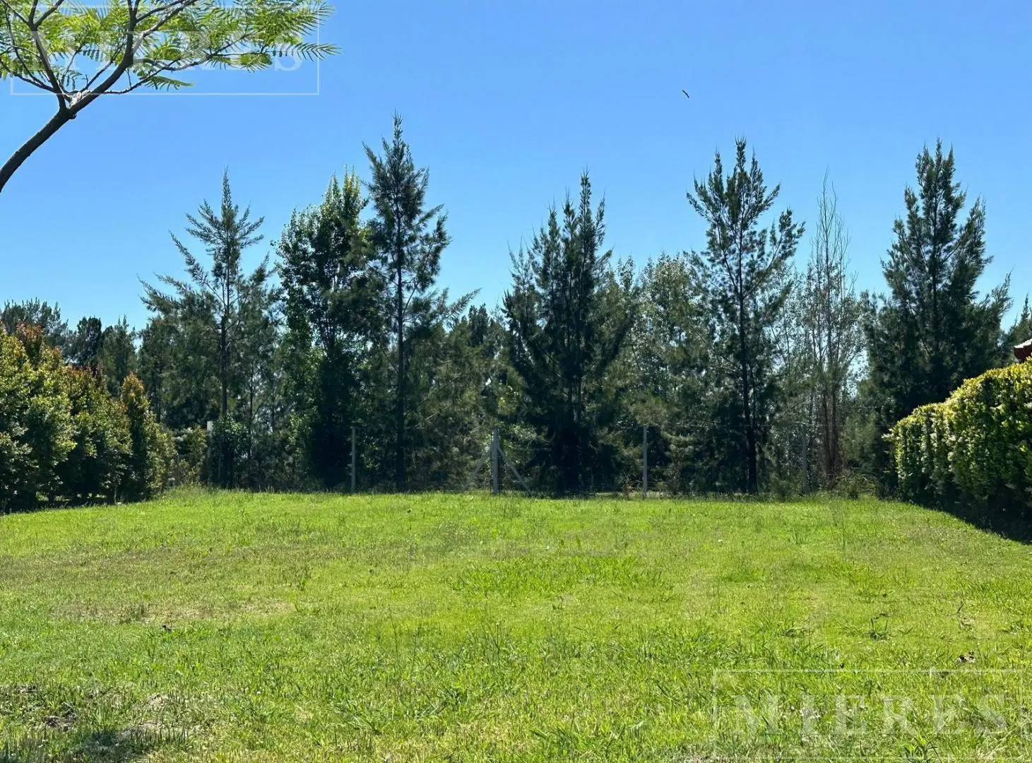 Lote en venta con vista al arroyo en Los Castaños, Nordelta 2