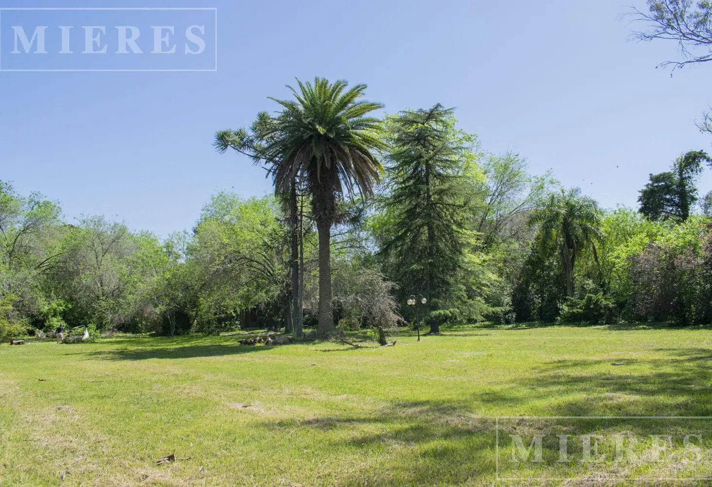 Lote en venta sobre calle Blas Parera en Ing. Maschwitz 3