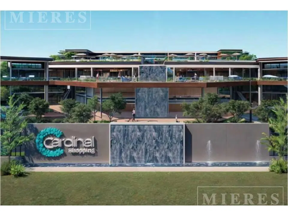 Locales en venta en Cardinal Shopping, Pilar del Este 3
