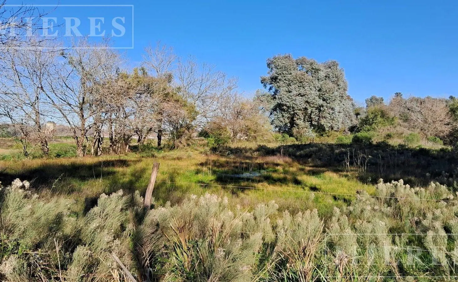 Lote de 22.000m² en alquiler en Pilar 5