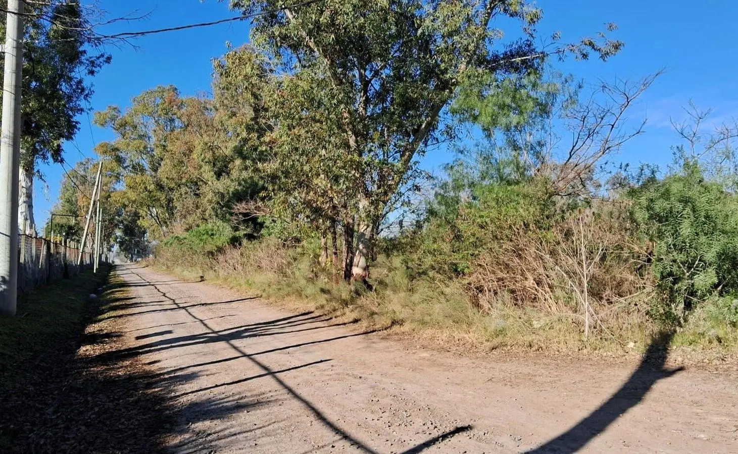 Lote de 22.000m² en alquiler en Pilar 4