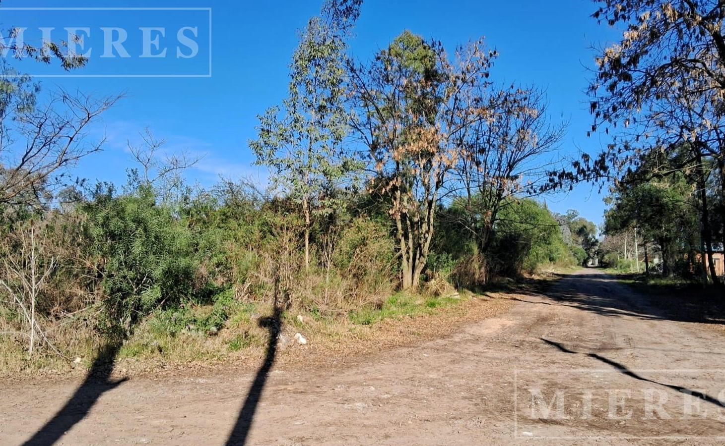Foto de Lote de 22.000m² en alquiler en Pilar, imagen 2