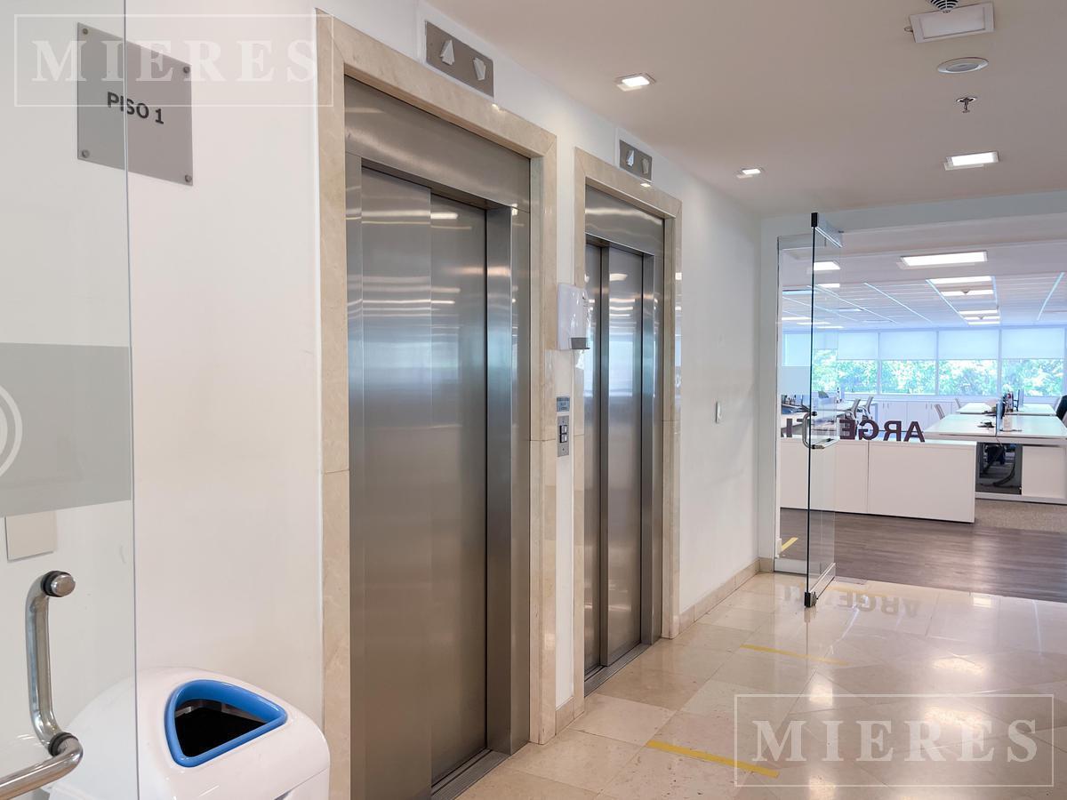 Foto de Oficinas en Venta con renta de 322 m2 - Lomas de San Isidro, imagen 1