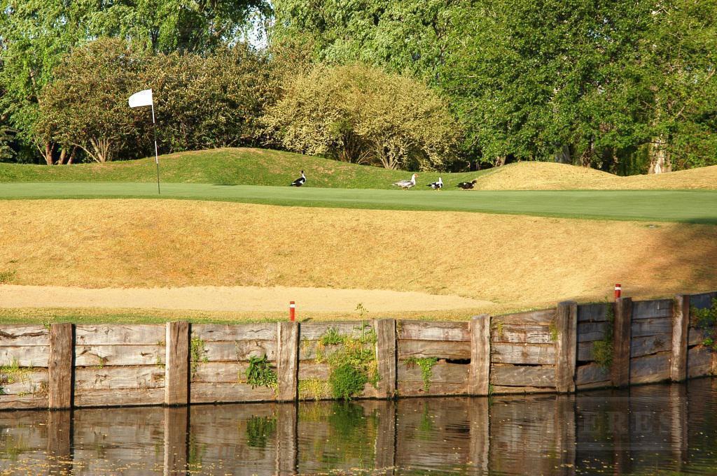 Foto de Terreno de 1000 mts en Mayling Club de Campo, imagen 4