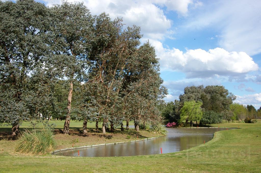 Foto de Terreno de 1000 mts en Mayling Club de Campo, imagen 2