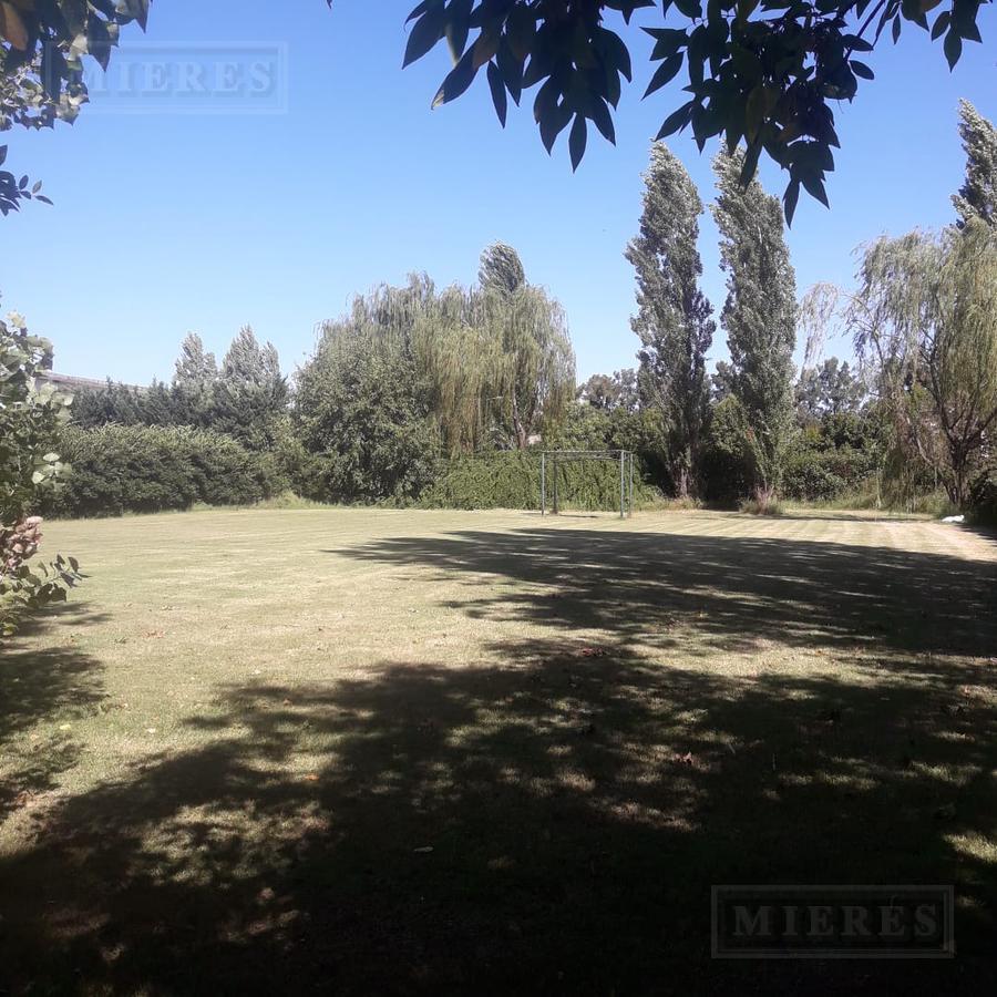 Foto de Terreno de 1500 mts. en Tortugas C.C., imagen 1