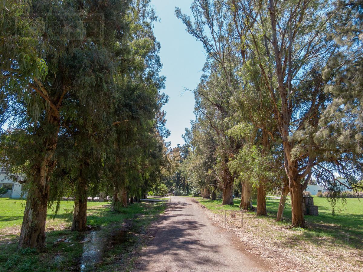 Foto de Terreno en Las Casuarinas Del Pilar dentro de Pilar del Este, imagen 3