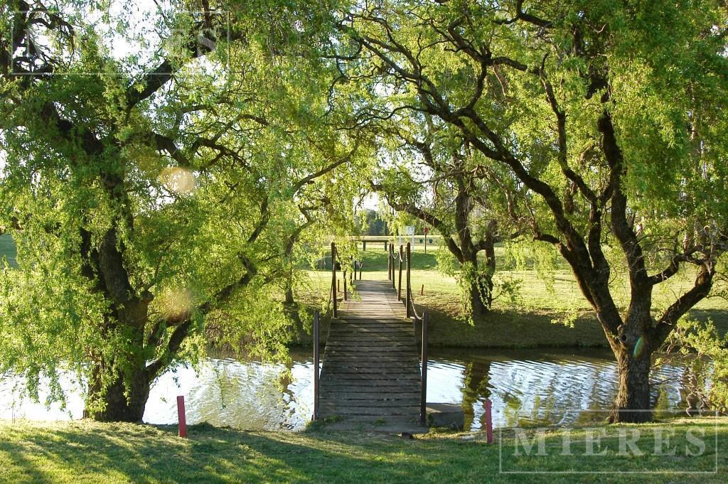 Foto de Lote de 1050m² en venta en Mayling Club de Campo, imagen 5