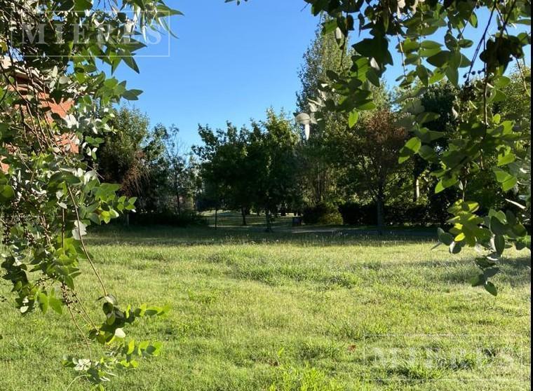Foto de Lote de 1050m² en venta en Mayling Club de Campo, imagen 1