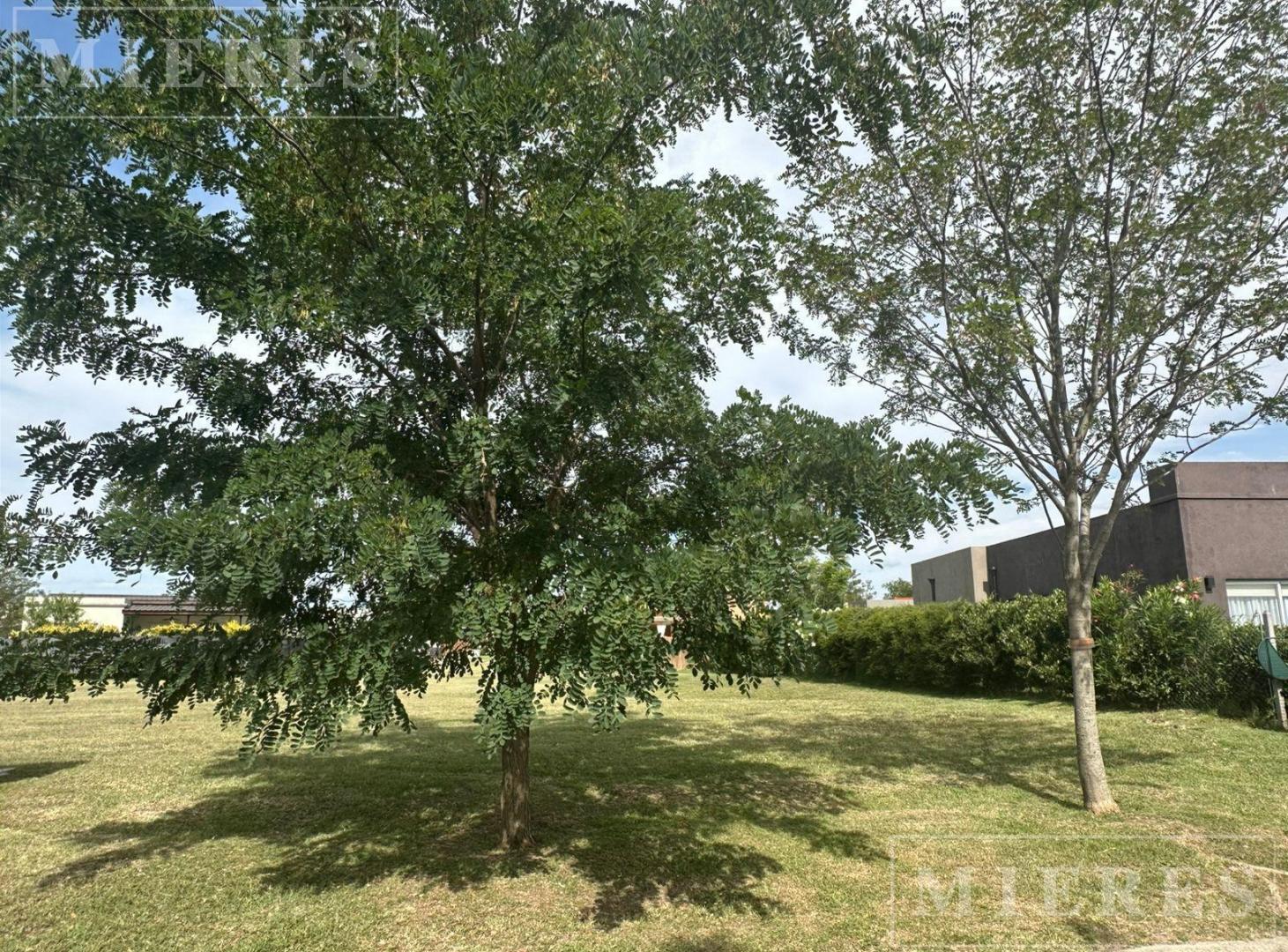 Foto de Lote interno de 568m² en venta en San Ramón, Pilar del Este, imagen 2