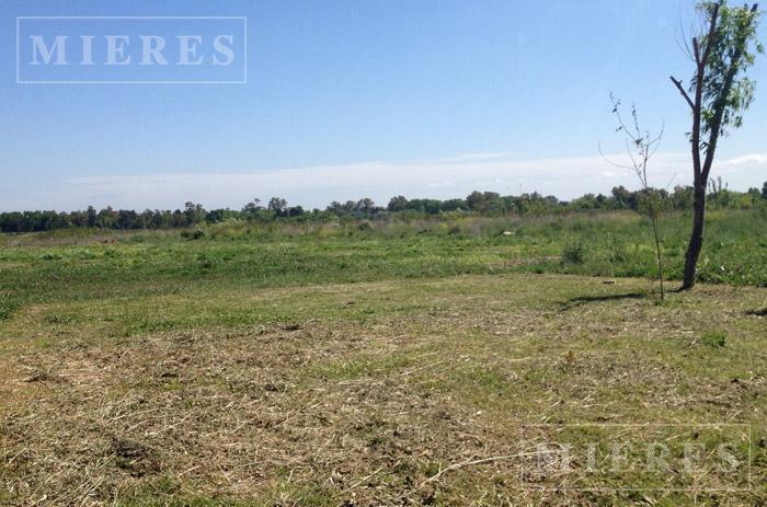 Foto de Lote de 634m² en venta en San Pablo Chico, imagen 5