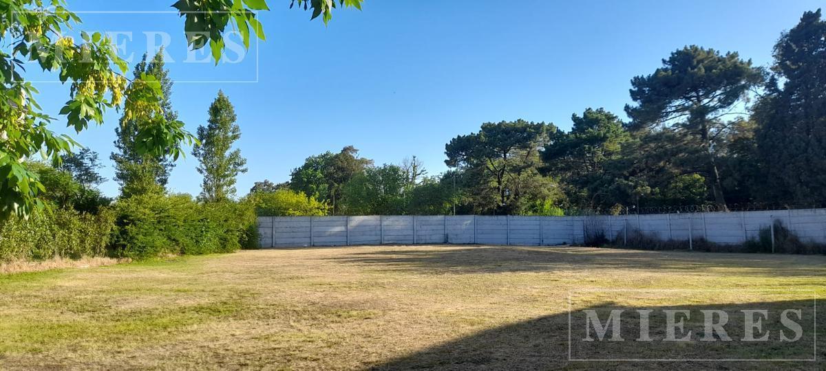 Foto de Lote en venta de 979m² en Los Jazmines, Pilar del Este, imagen 1