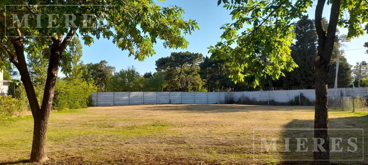 Foto de Lote en venta de 979m² en Los Jazmines, Pilar del Este, imagen 3