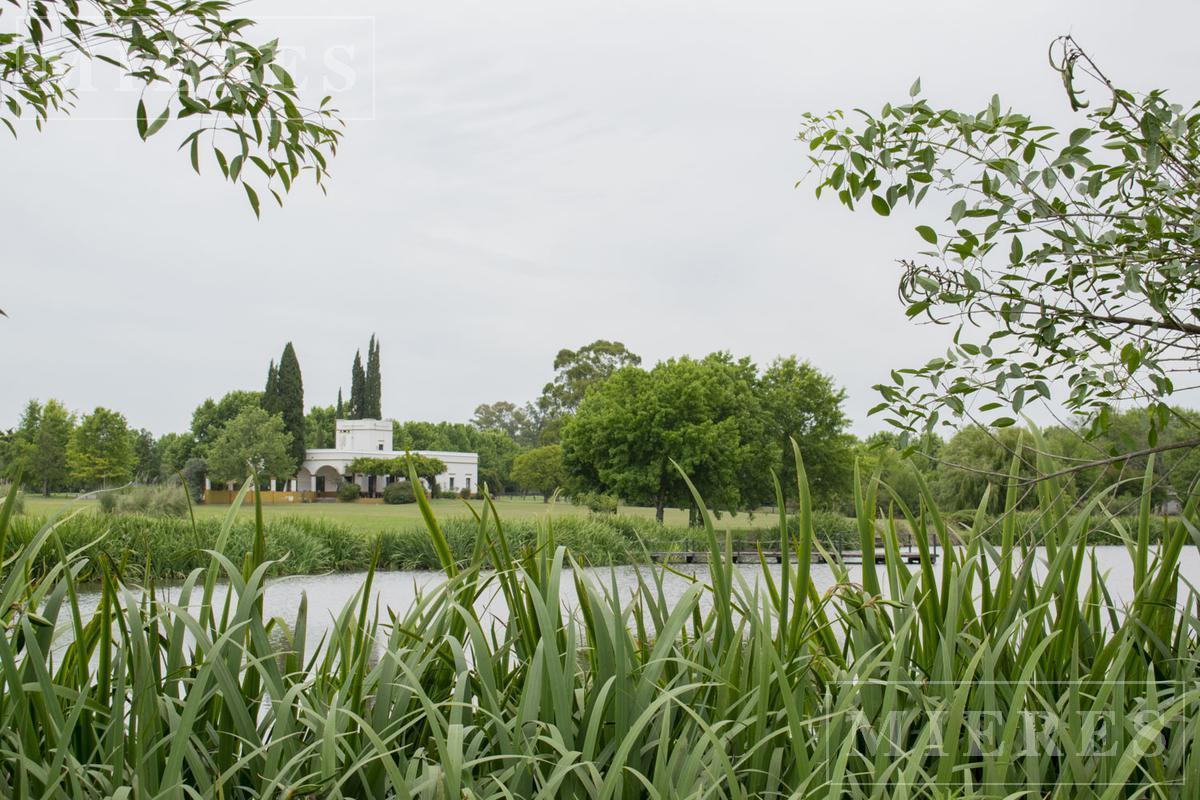 Foto de Terreno de 3.001m2 en venta en Chacras de la Cruz, imagen 4