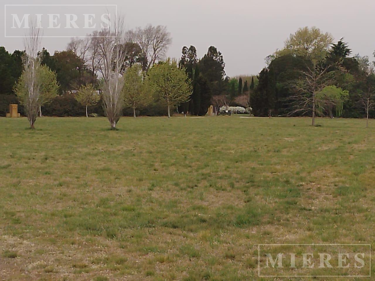 Foto de Terreno de 3.001m2 en venta en Chacras de la Cruz, imagen 5