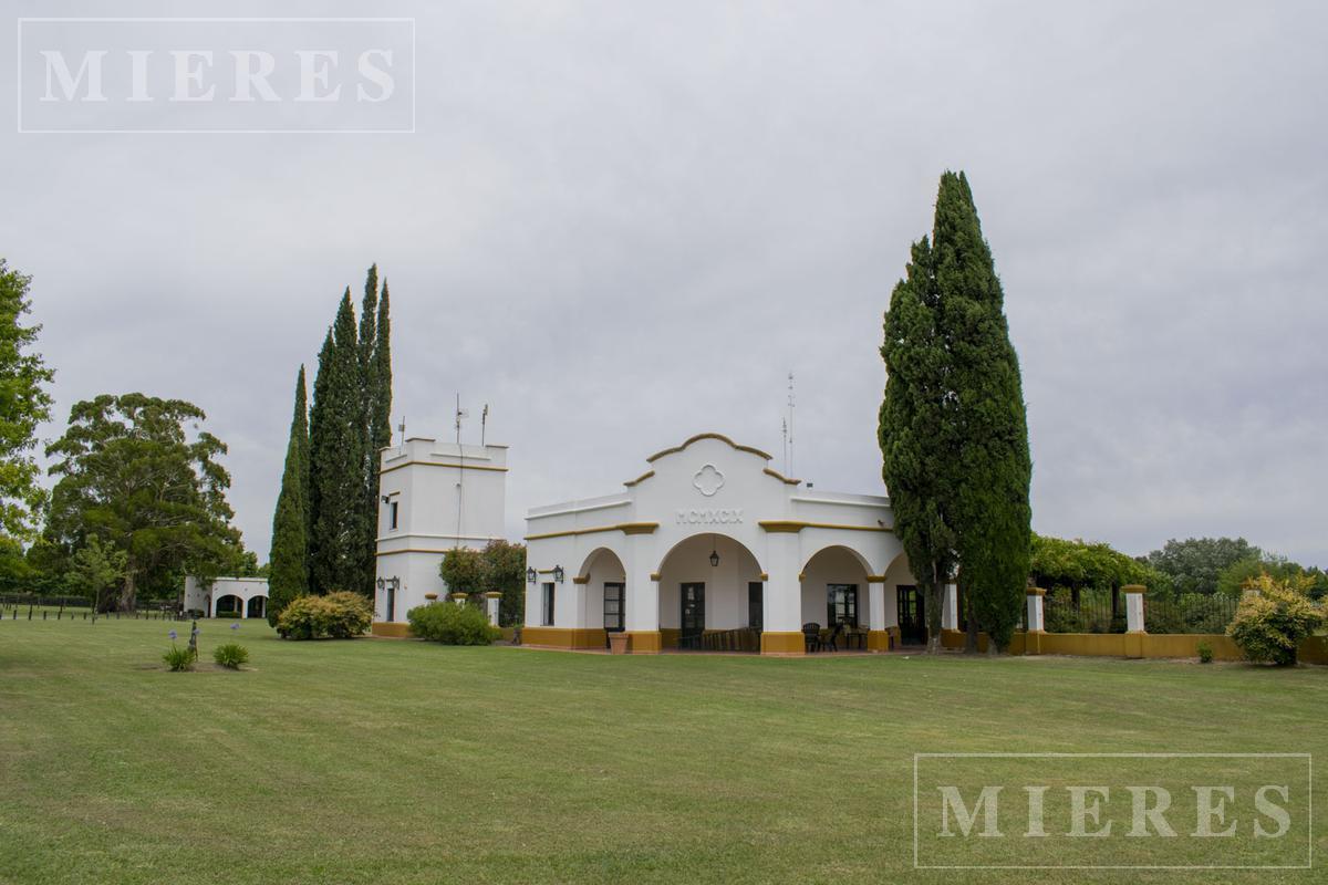 Foto de Terreno de 3.001m2 en venta en Chacras de la Cruz, imagen 2