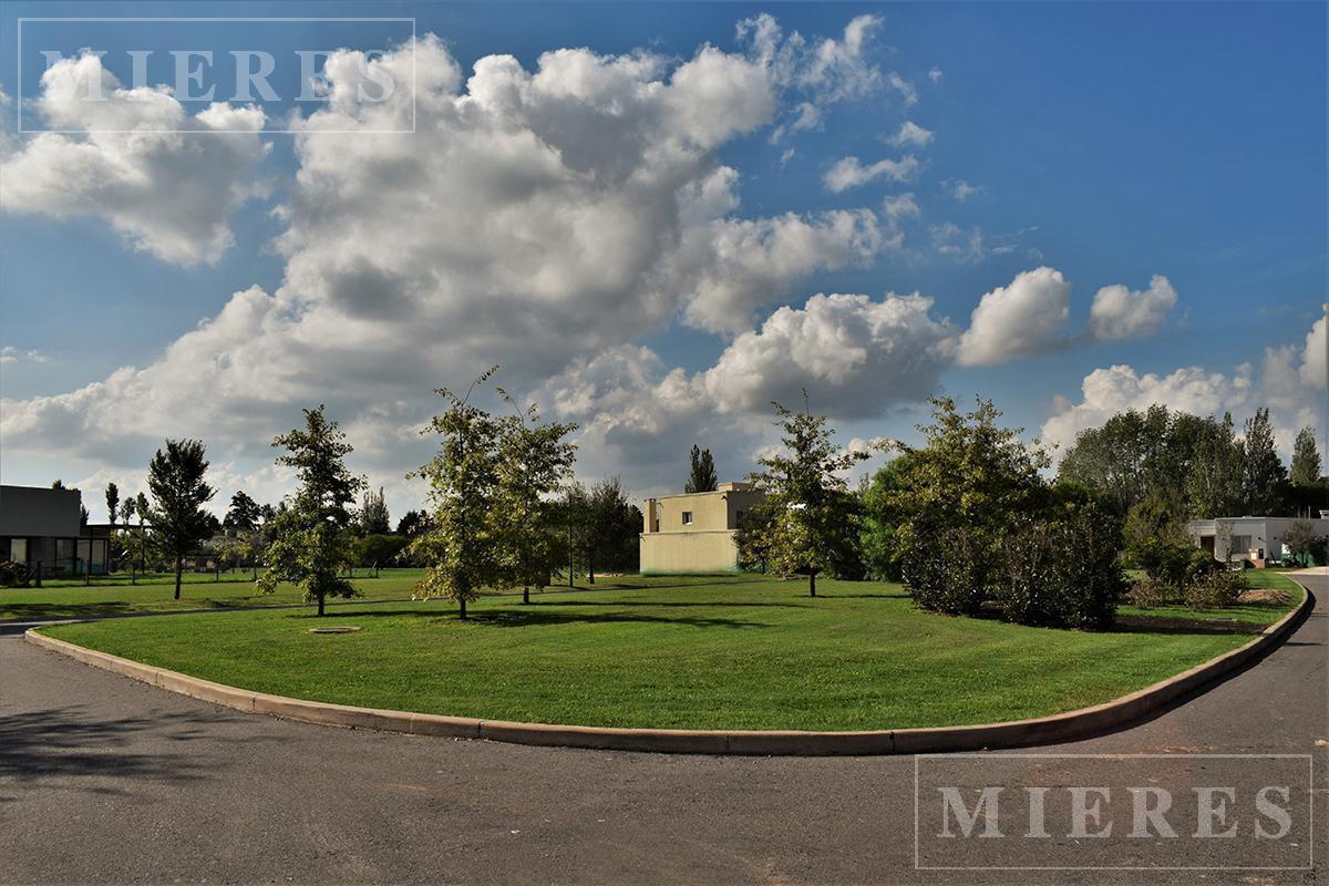 Foto de Lote de 594m² en venta en Ayres Plaza, imagen 4