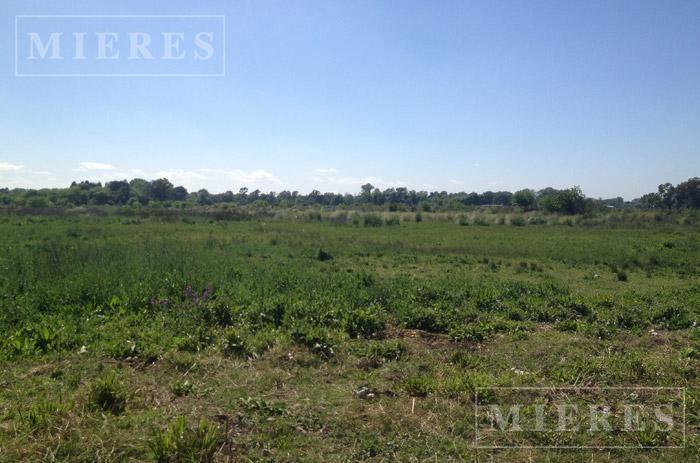 Foto de Lote de 614m² en venta en San Pablo Chico, imagen 5