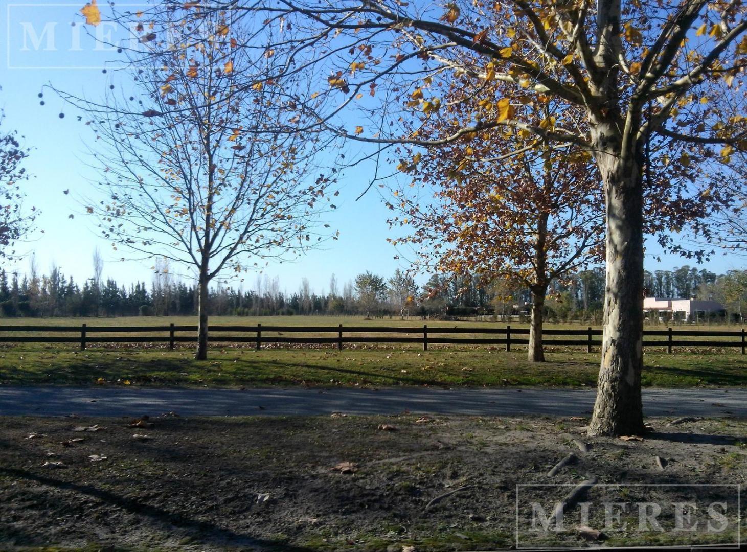 Foto de Lote de 5500m² en venta en Chacras de la Cruz, imagen 5