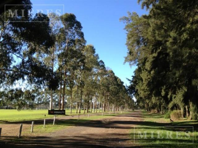 Foto de Lote de 477m2 en venta en Santo Tomás, Pilar, imagen 1