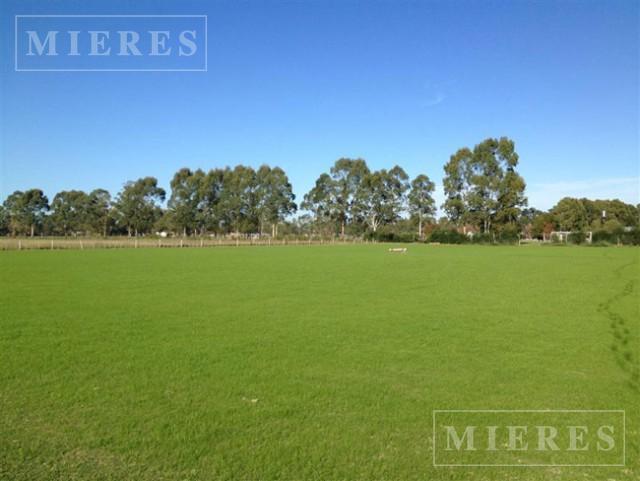 Foto de Lote de 477m2 en venta en Santo Tomás, Pilar, imagen 4