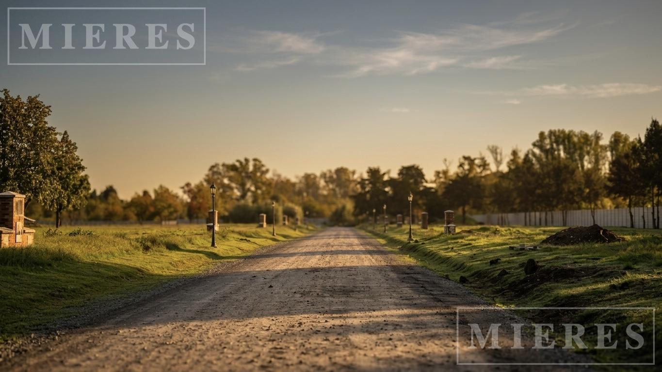 Foto de Lote de 808m² en venta en El Paso, imagen 4