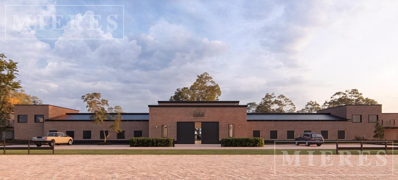 Foto de Lote "Rienda" de 4.800m2 en venta en Cayuquen, imagen 3