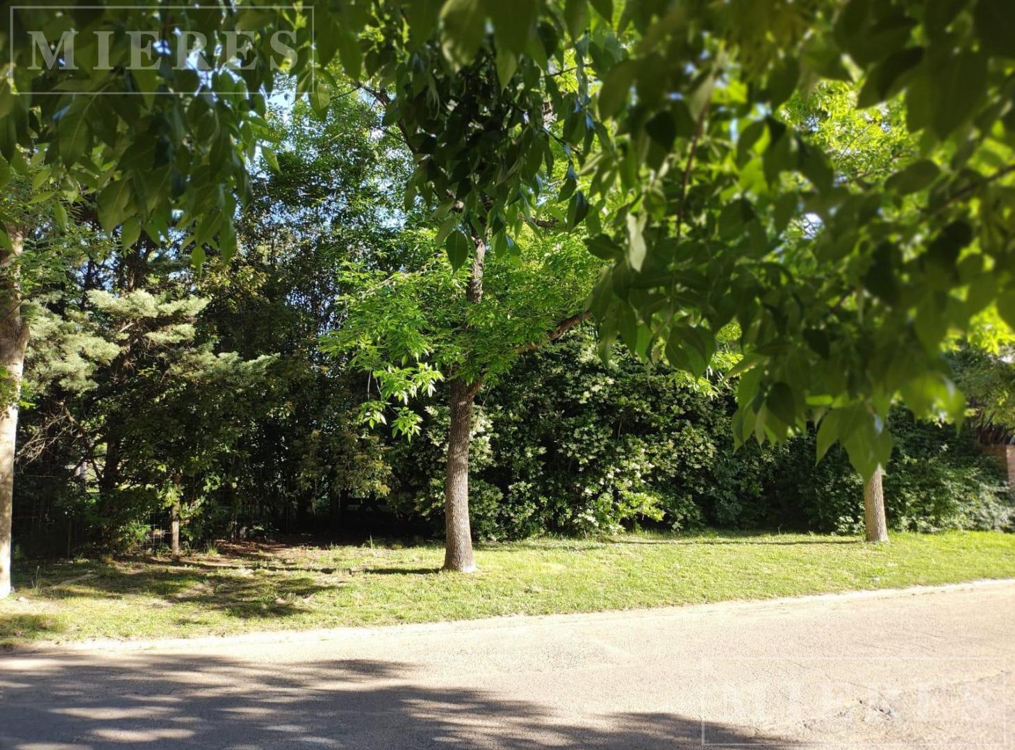 Foto de Lote de 832m² en venta en Boulevares, imagen 2