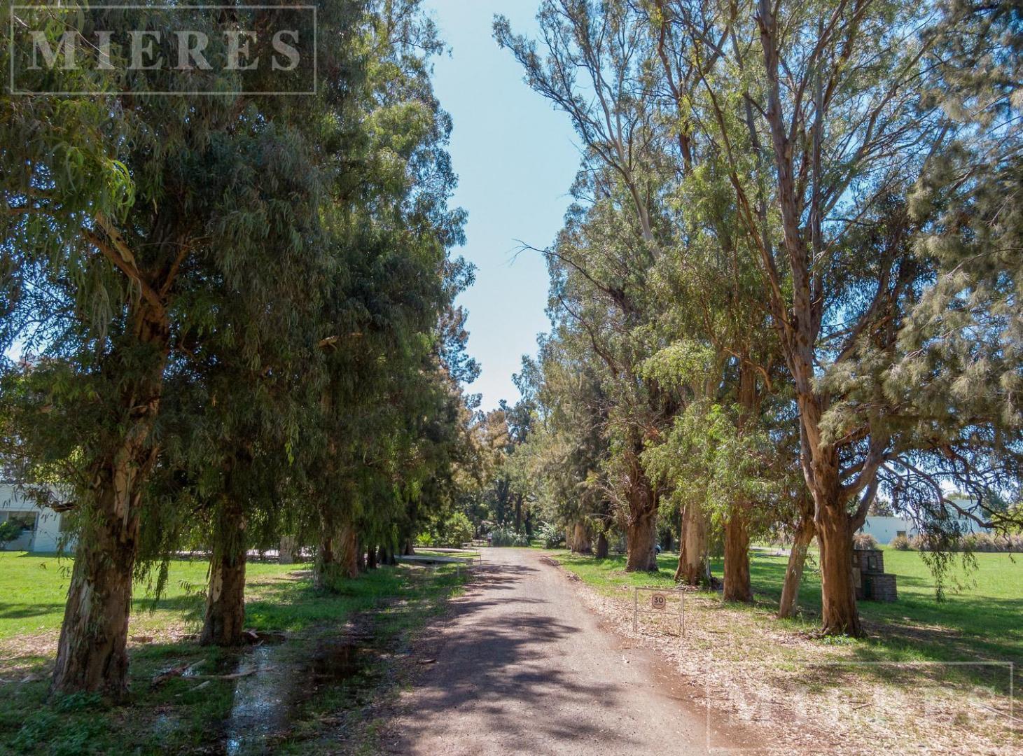 Foto de Casa en venta en Casuarinas del Pilar, imagen 5