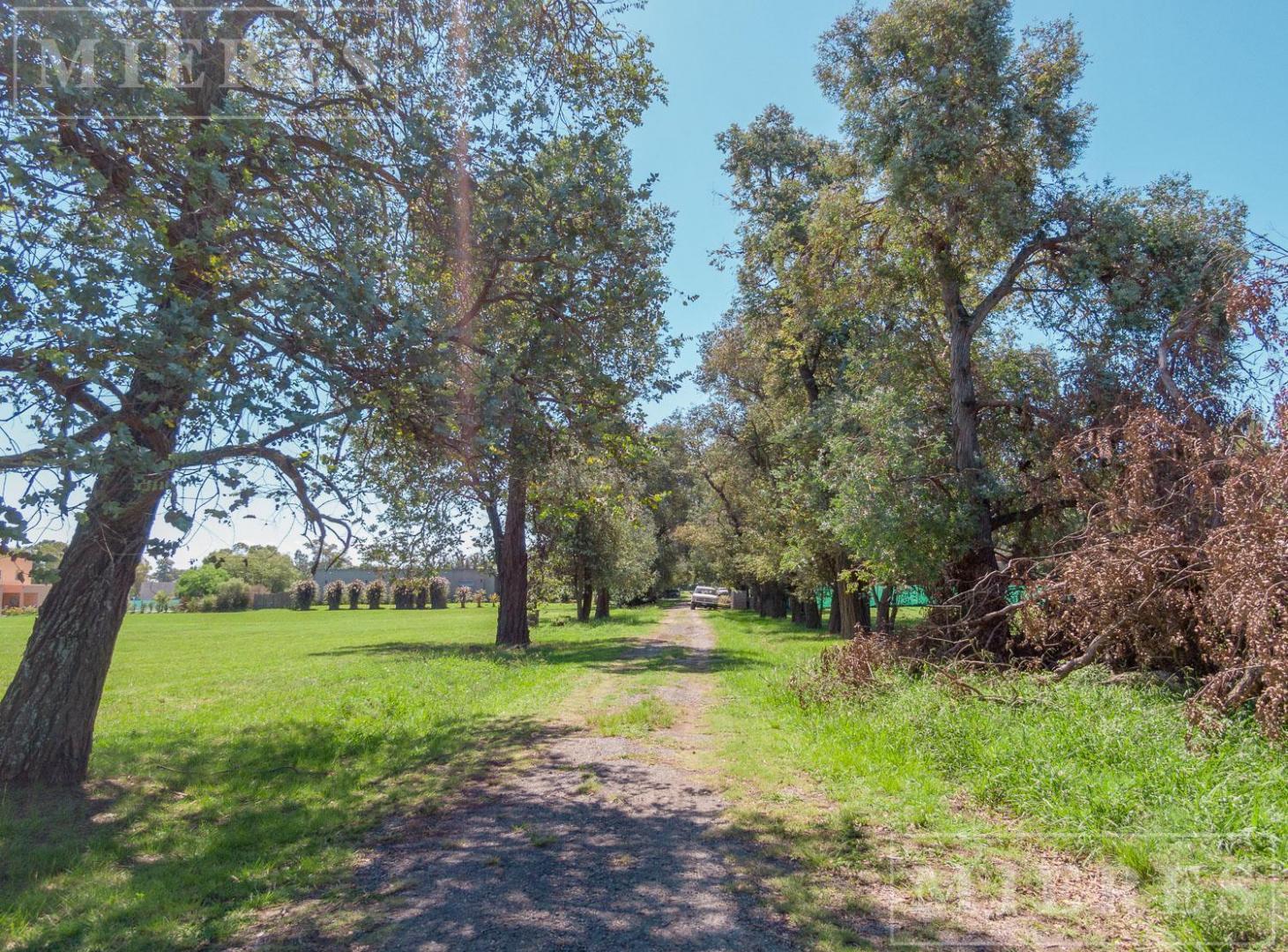 Foto de Casa en venta en Casuarinas del Pilar, imagen 3